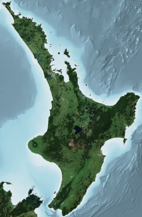 Aerial (NZ)