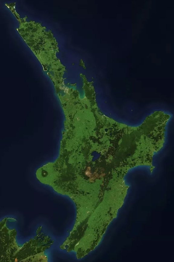 Satellite Basemap